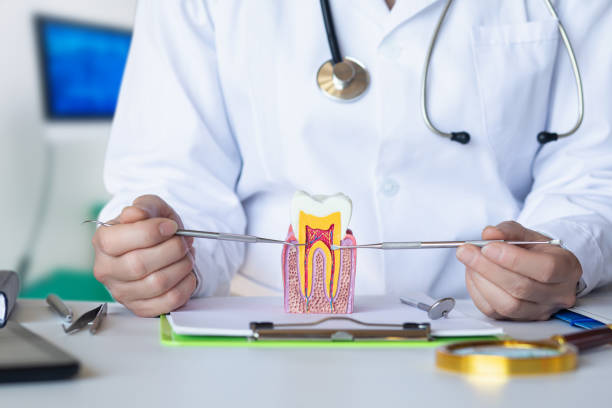 Dentist for Dental Trauma in ID